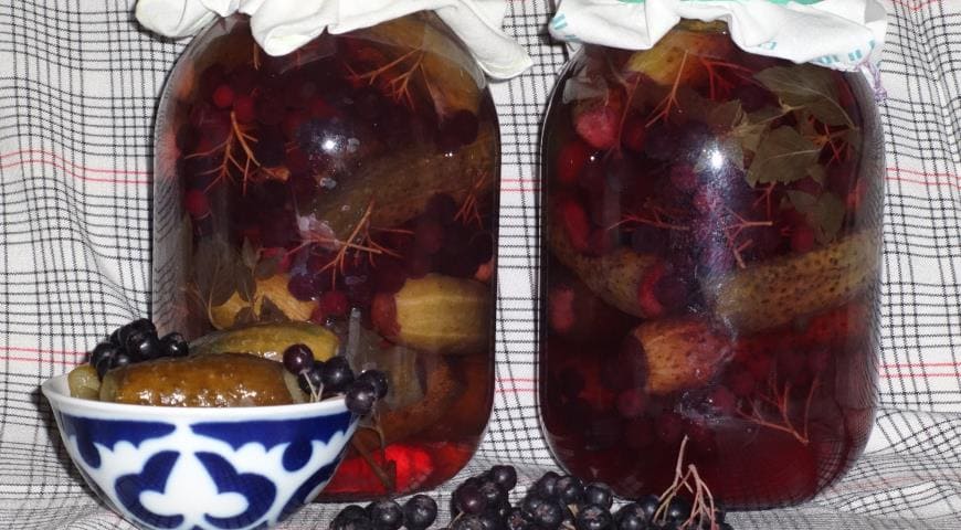 Рецепт засолки огурцов с черноплодной рябиной