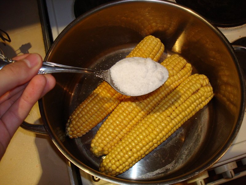 Как варить кукурузу в початках правильно