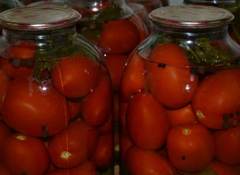 Засолка помидоров