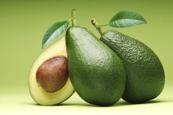 Плоды авокадо в терапии лейкемии