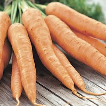 Вкусные заготовки из моркови на зиму