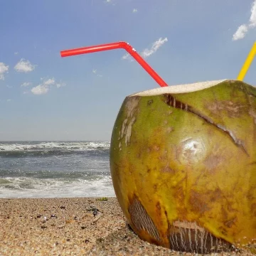 В чем польза и вред кокосовой воды?