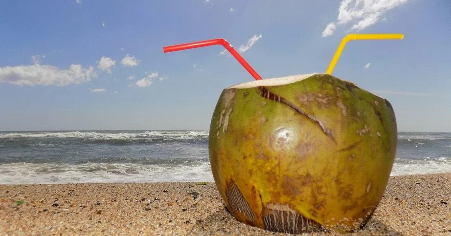В чем польза и вред кокосовой воды?