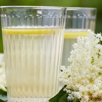 Лимонад из цветов бузины