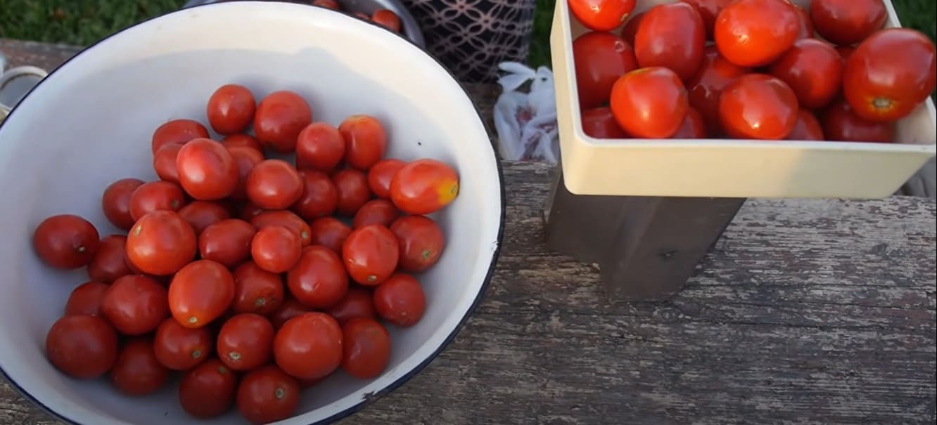 Легкий рецепт квашеных помидоров с хреном и острым перцем