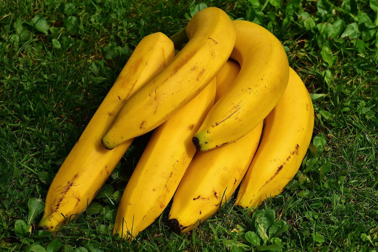 Как хранить бананы, чтобы они не чернели и почему фрукты так быстро портятся