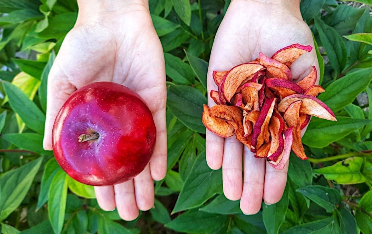 Как сделать сушку из яблок дома