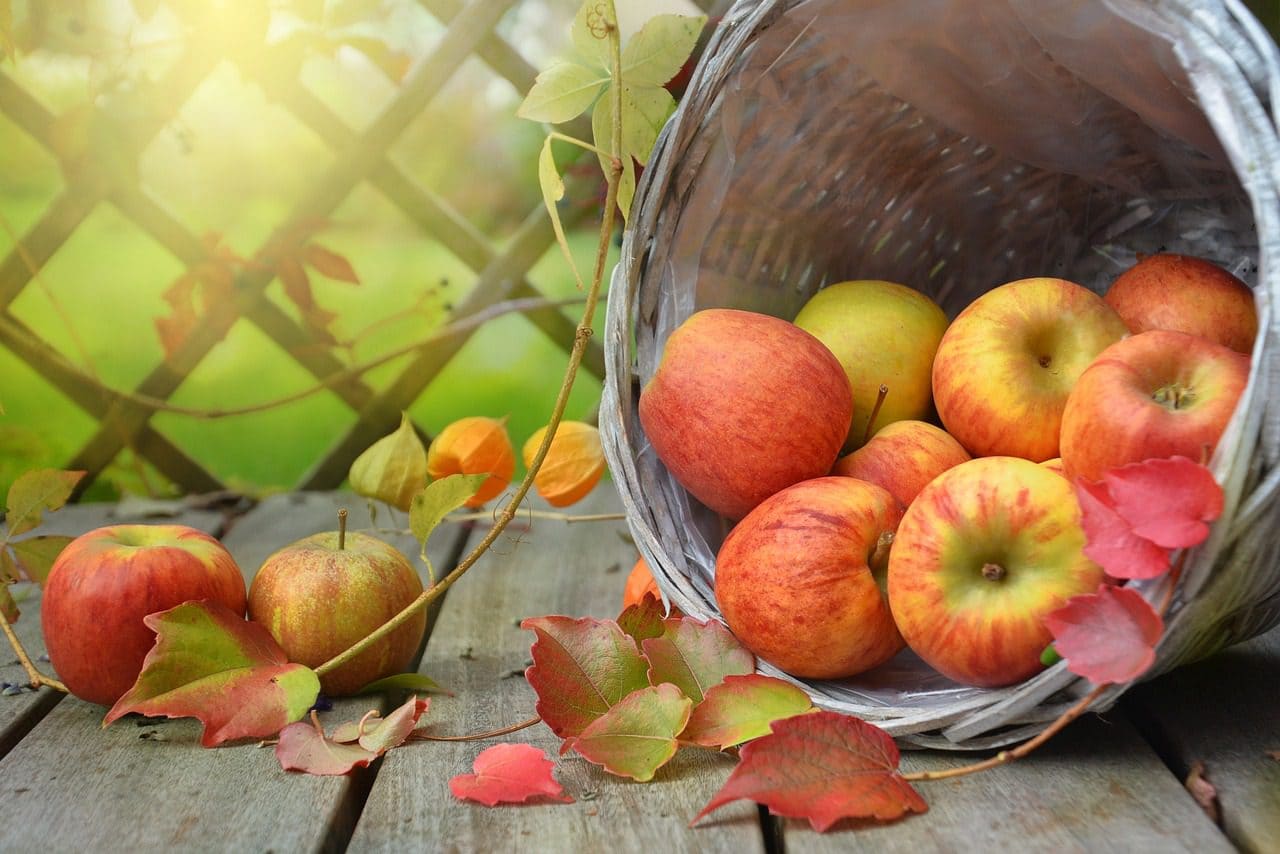 Эксперты рассказали, как засушить яблоки без использования специальной сушилки