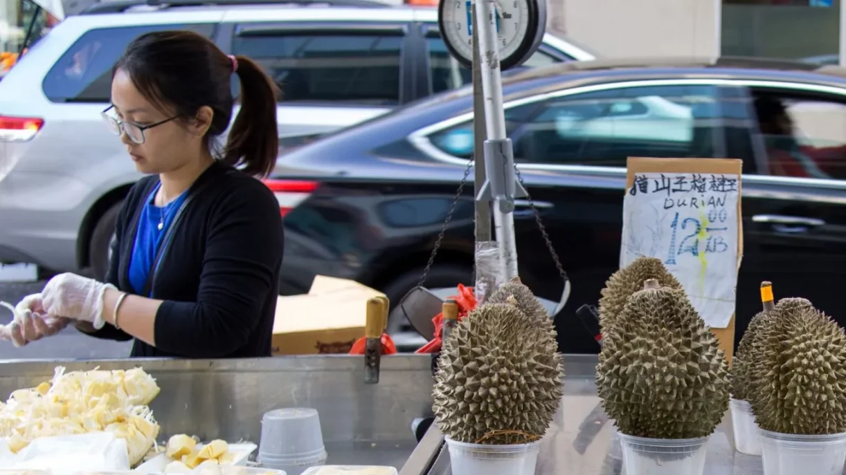 Джекфрут и дуриан отличие. Джекфрут и дуриан. Jackfruit дуриан. Дуриан и джекфрут одно. Джекфрут и дуриан одно и тоже.