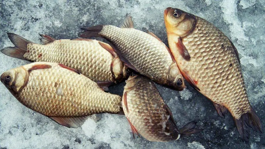 Как легко почистить карася и карпа за 1 минуту