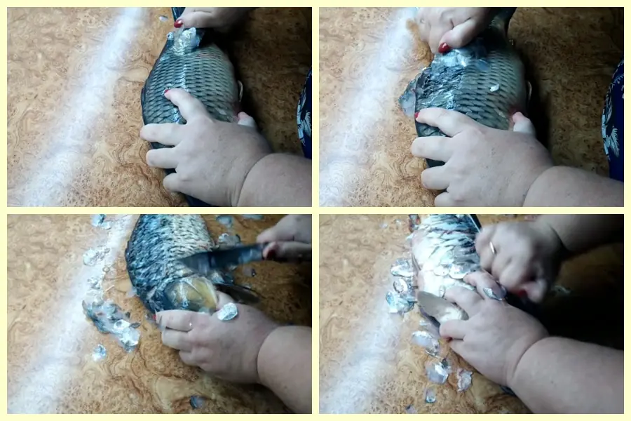 Как легко почистить карася и карпа с помощью столовой ложки