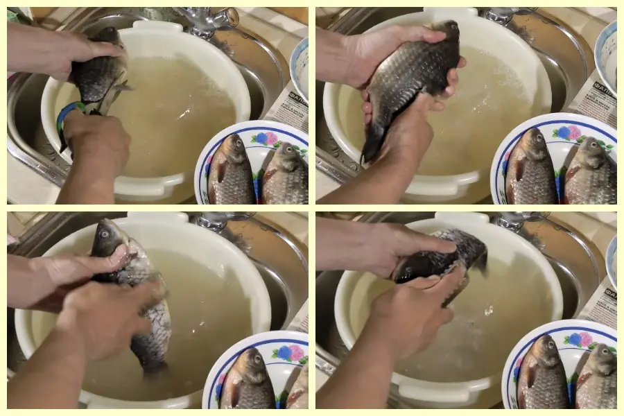 Как легко почистить карася и карпа с помощью ножниц