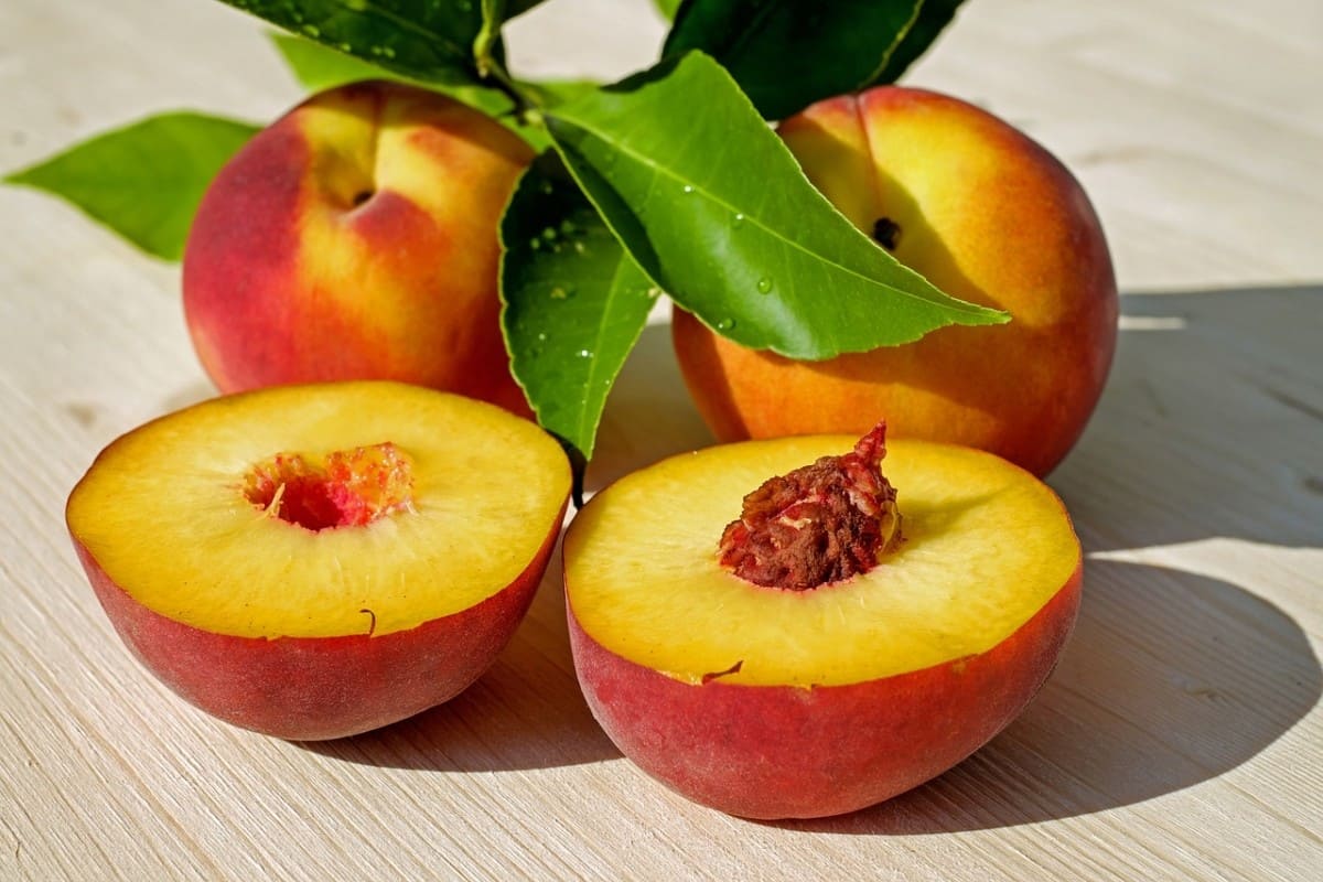 Сушка персиков: выбор сырья и его подготовка