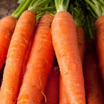 Почему отварная морковь в салате теряет цвет