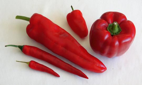 Различные сорта перца и их жгучесть
