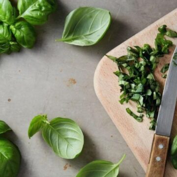 Куда добавить базилик