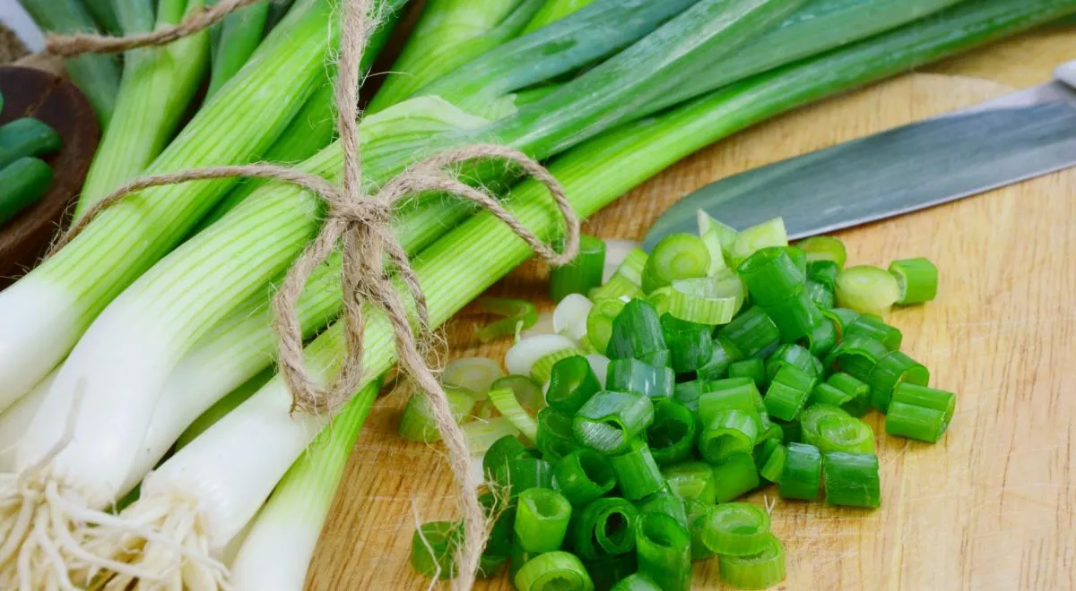 Зелёный лук