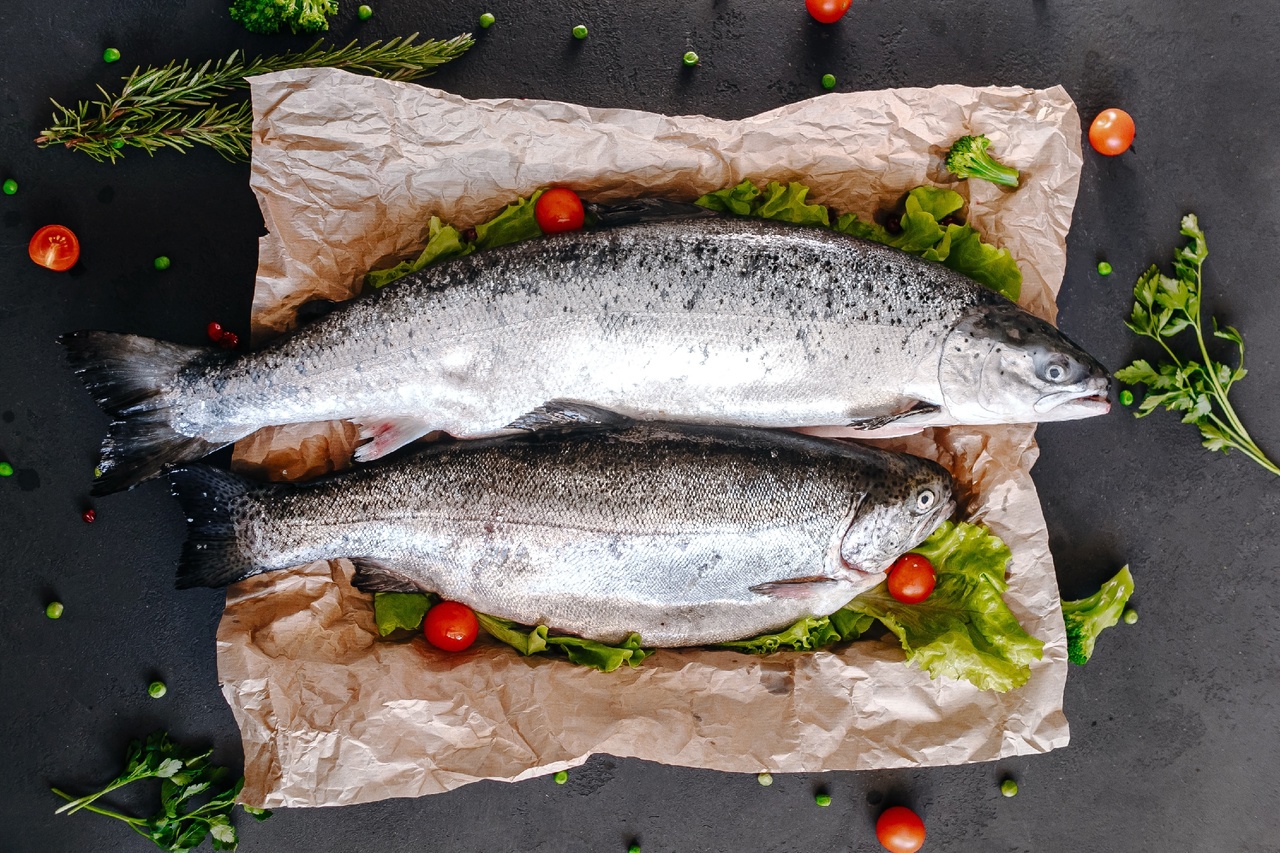 Кижуч или семга: что полезнее и вкуснее?