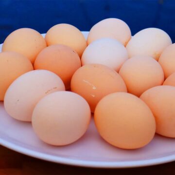 Куриное яйцо