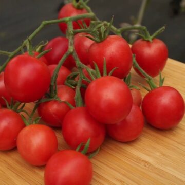 Томаты черри