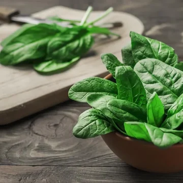 Можно ли есть сырой шпинат