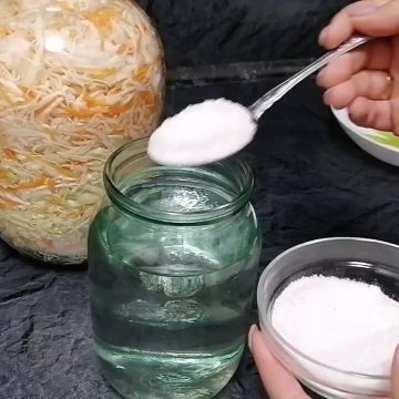 Сколько соли класть в рассол для квашеной капусты